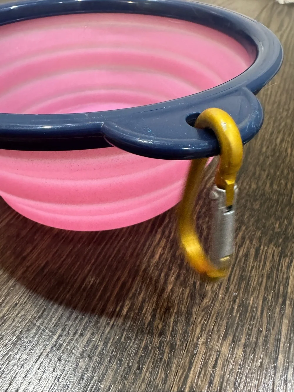 Dabney Lee Collapsible Travel Pet Bowl With Clip